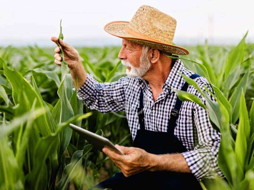 Soil Nutrient Management