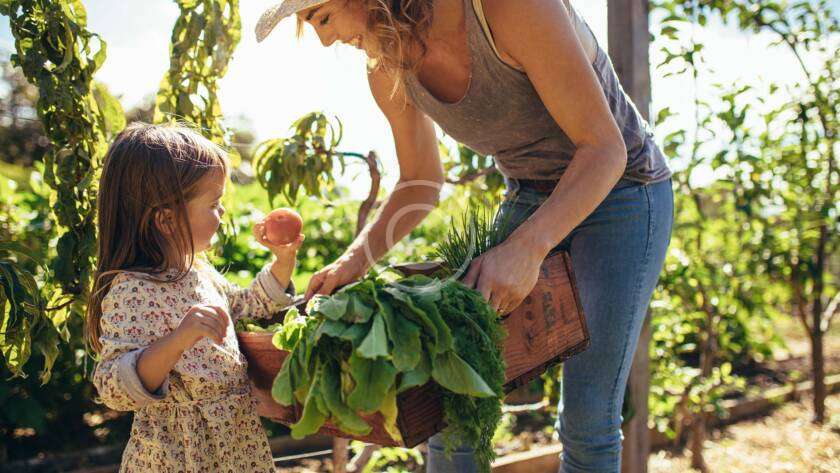 best micronutrient fertilizer in india