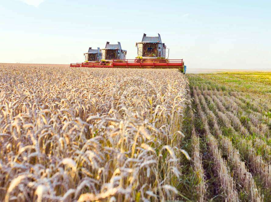 Top micronutrients company in india