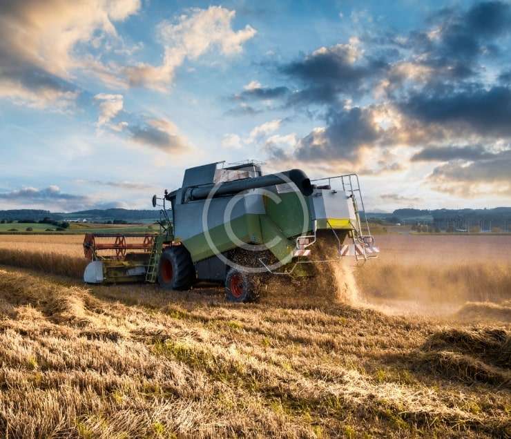 Fertilizer company in telangana