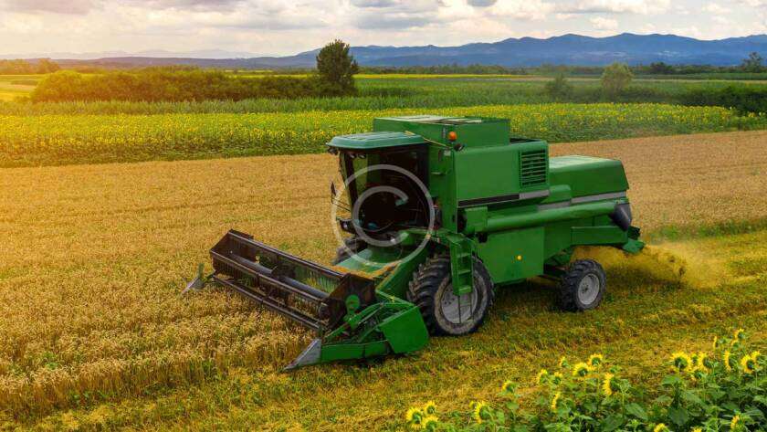 Micronutrients in Agriculture