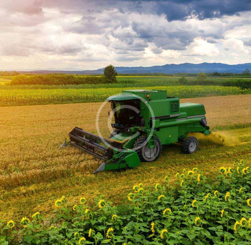 Micronutrients in Agriculture