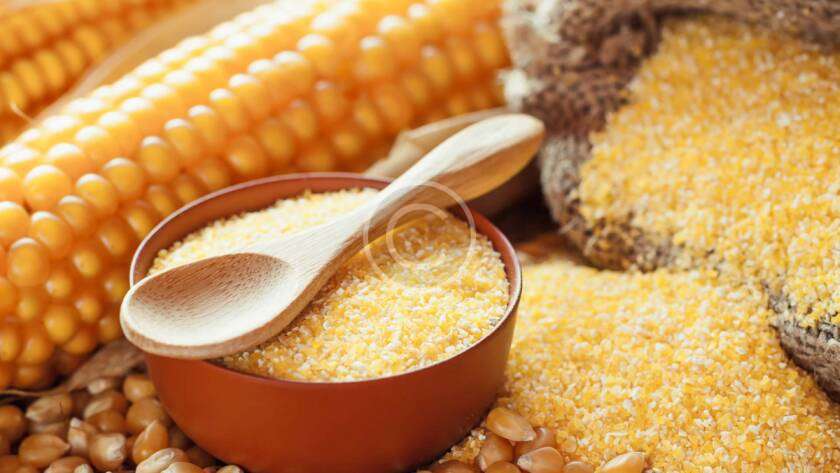 Micronutrient Fertilizer Manufacturer in India