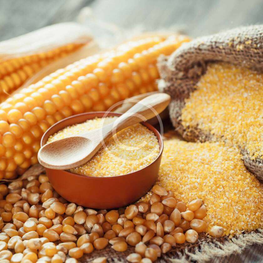 Micronutrient Fertilizer Manufacturer in India