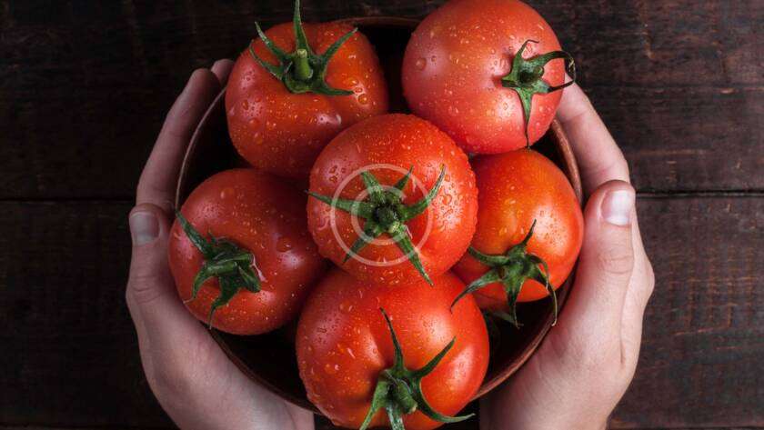 Micronutrients in Agriculture