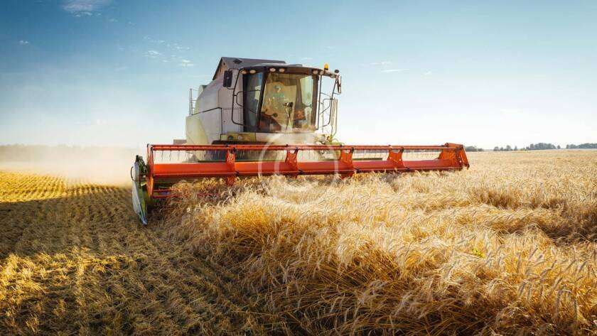 essential micronutrients for plants