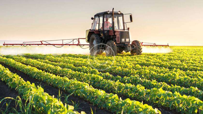 Organic and Bio Fertilizer Products