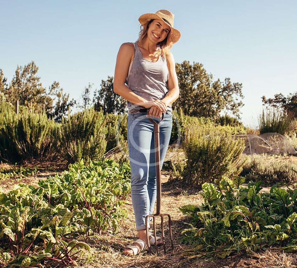 plant nutrients in agriculture