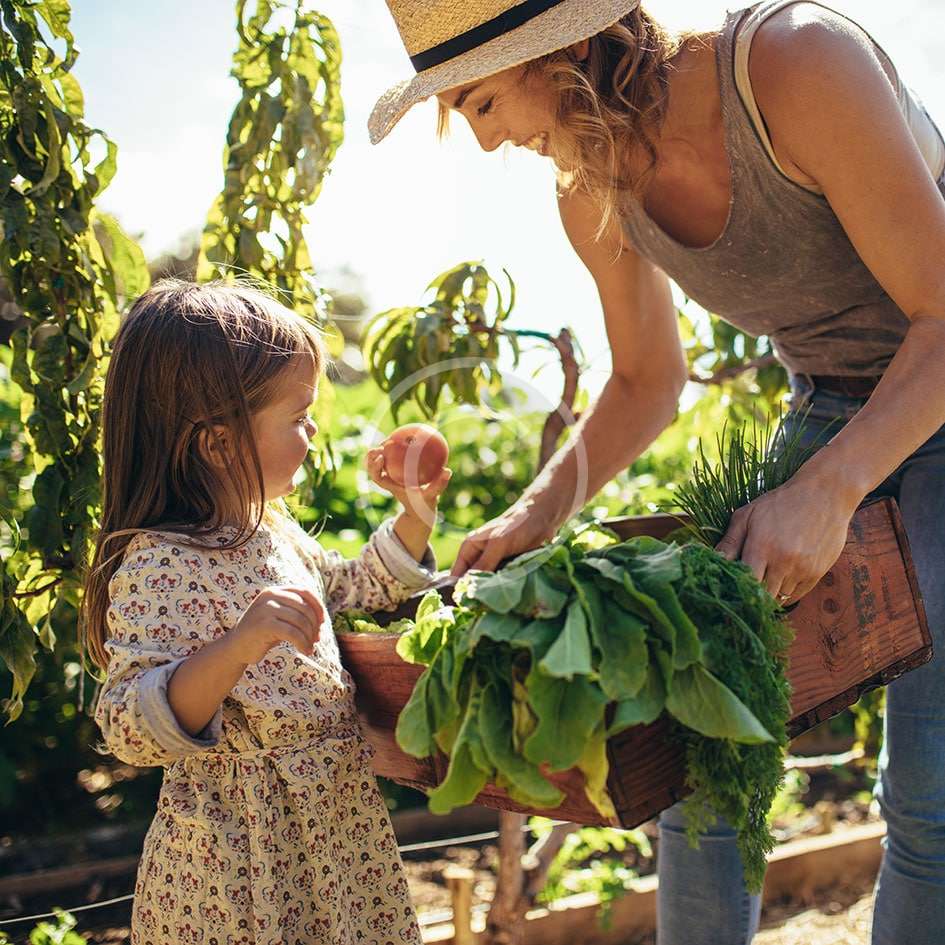 best micronutrient fertilizer in india