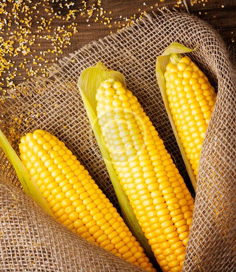 essential micronutrients for plants