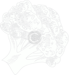 plant nutrients in agriculture