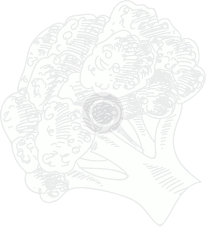 Expert plant nutrient management