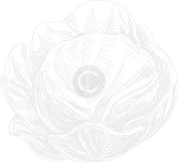 micronutrient company in india