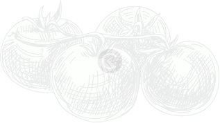 micronutrients for agriculture in India