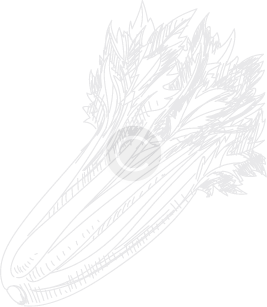 micronutrients for plants