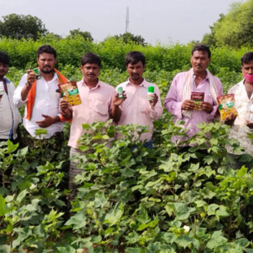 Micronutrient Fertilizer Manufacturer in India