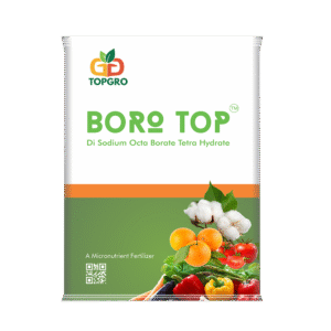 BORO TOP