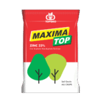 Maxima-top_