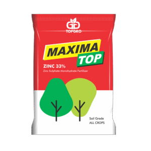 MAXIMA TOP