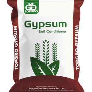 Gypsum