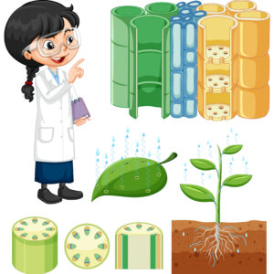 Specialty & Chelated