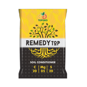 REMEDY TOP