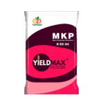 Yield-MAX-MKP_