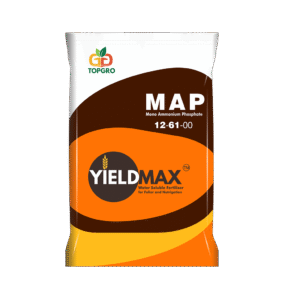 YIELD MAX 12-61-00