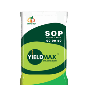 YIELD MAX 00-00-50