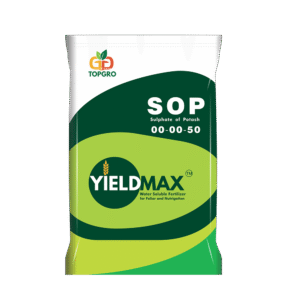 YIELD MAX 00-00-50