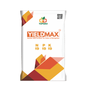 YEILD MAX 19 19 19